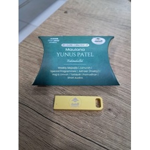 usb_-_ml_yunus_patel3_300x300